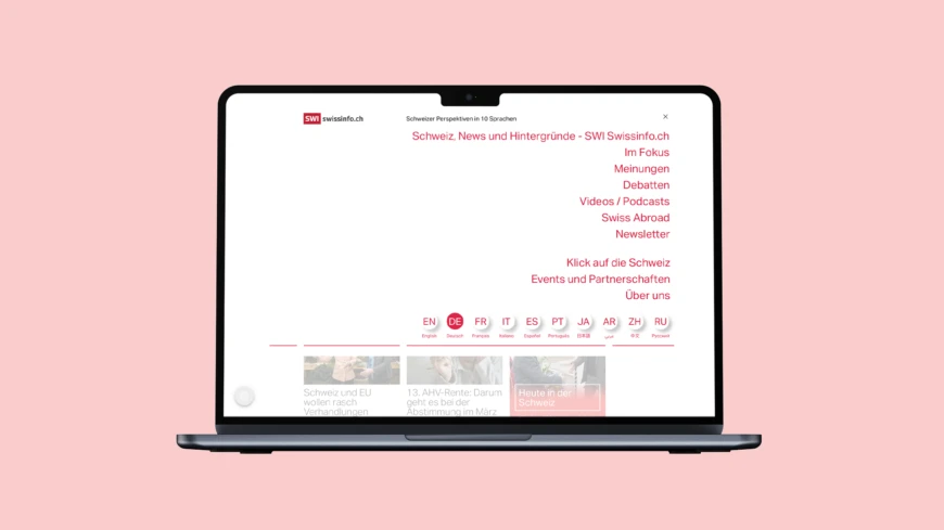 Websites Microsites Mehrsprachige Websites 01